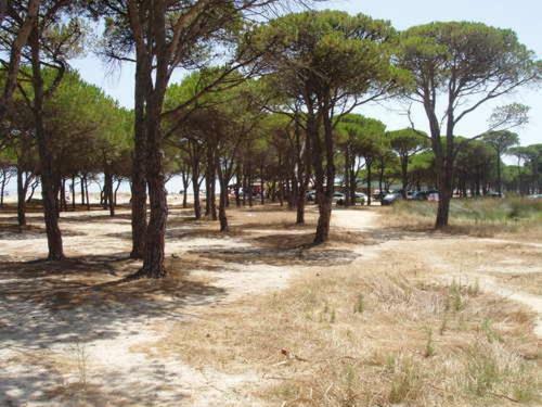 Appartamento Casa Alice Budoni Esterno foto